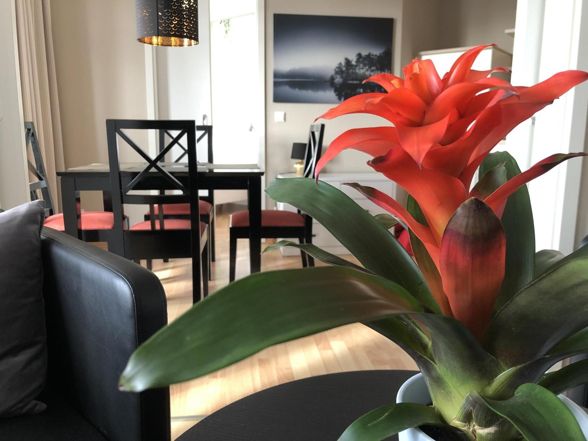 Sehnsucht Ruegen Ferienappartements Sellin  Exterior photo
